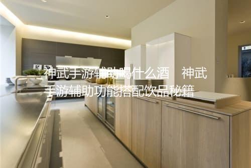 神武手游辅助喝什么酒　神武手游辅助功能搭配饮品秘籍