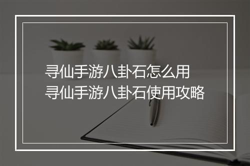 寻仙手游八卦石怎么用　寻仙手游八卦石使用攻略
