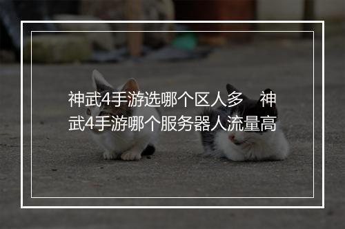 神武4手游选哪个区人多　神武4手游哪个服务器人流量高