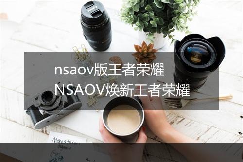 nsaov版王者荣耀　NSAOV焕新王者荣耀