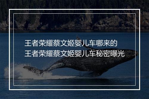 王者荣耀蔡文姬婴儿车哪来的　王者荣耀蔡文姬婴儿车秘密曝光