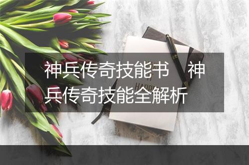 神兵传奇技能书　神兵传奇技能全解析