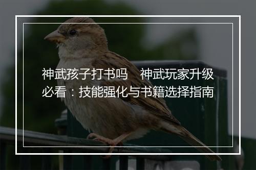 神武孩子打书吗　神武玩家升级必看：技能强化与书籍选择指南