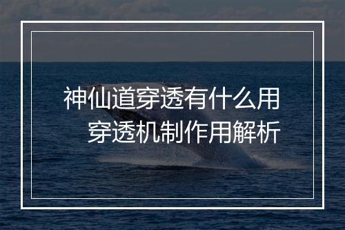 神仙道穿透有什么用　穿透机制作用解析