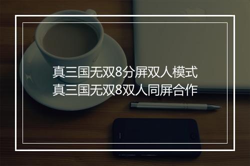 真三国无双8分屏双人模式　真三国无双8双人同屏合作