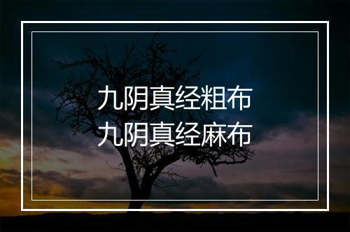 九阴真经粗布　九阴真经麻布