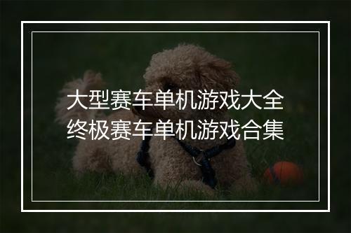 大型赛车单机游戏大全　终极赛车单机游戏合集