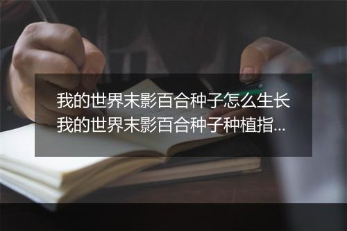 我的世界末影百合种子怎么生长　我的世界末影百合种子种植指南