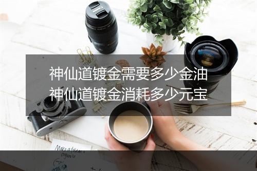 神仙道镀金需要多少金油　神仙道镀金消耗多少元宝