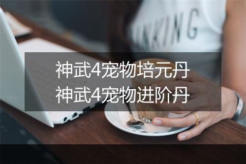 神武4宠物培元丹　神武4宠物进阶丹
