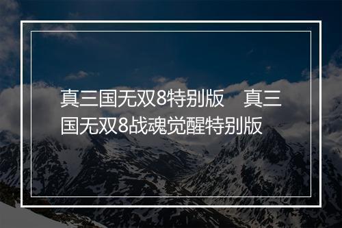 真三国无双8特别版　真三国无双8战魂觉醒特别版