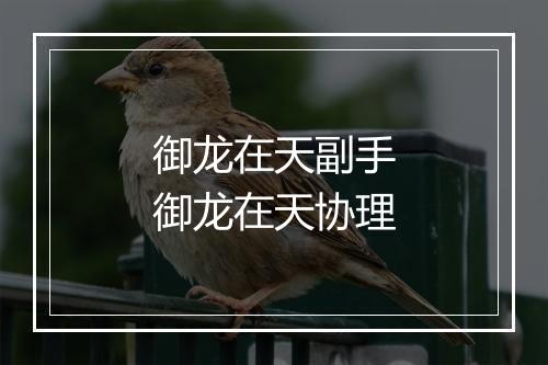 御龙在天副手　御龙在天协理