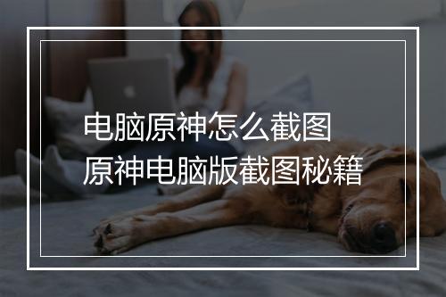 电脑原神怎么截图　原神电脑版截图秘籍