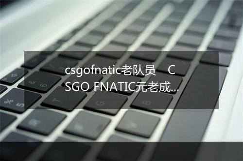 csgofnatic老队员　CSGO FNATIC元老成员