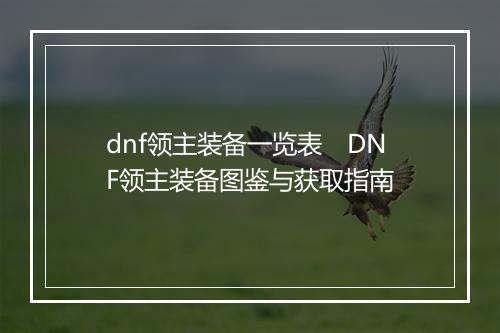 dnf领主装备一览表　DNF领主装备图鉴与获取指南