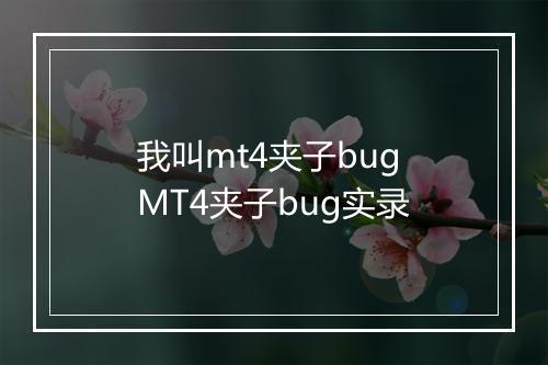 我叫mt4夹子bug　MT4夹子bug实录
