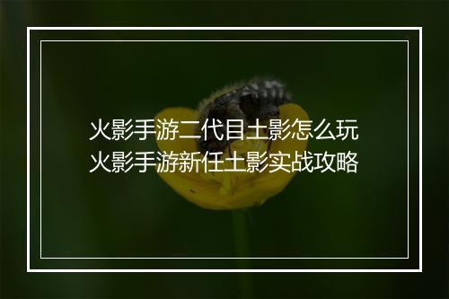 火影手游二代目土影怎么玩　火影手游新任土影实战攻略