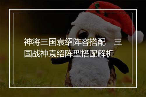 神将三国袁绍阵容搭配　三国战神袁绍阵型搭配解析