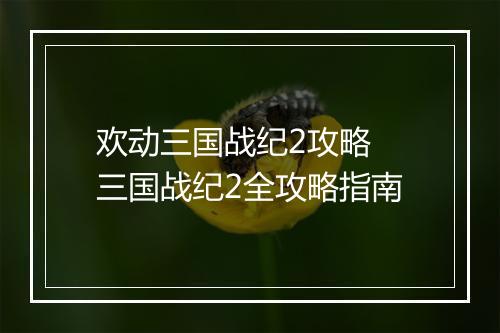 欢动三国战纪2攻略　三国战纪2全攻略指南